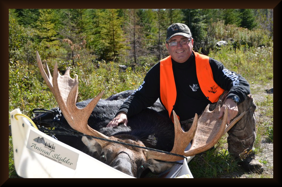 Sled, moose, hunt, hunting